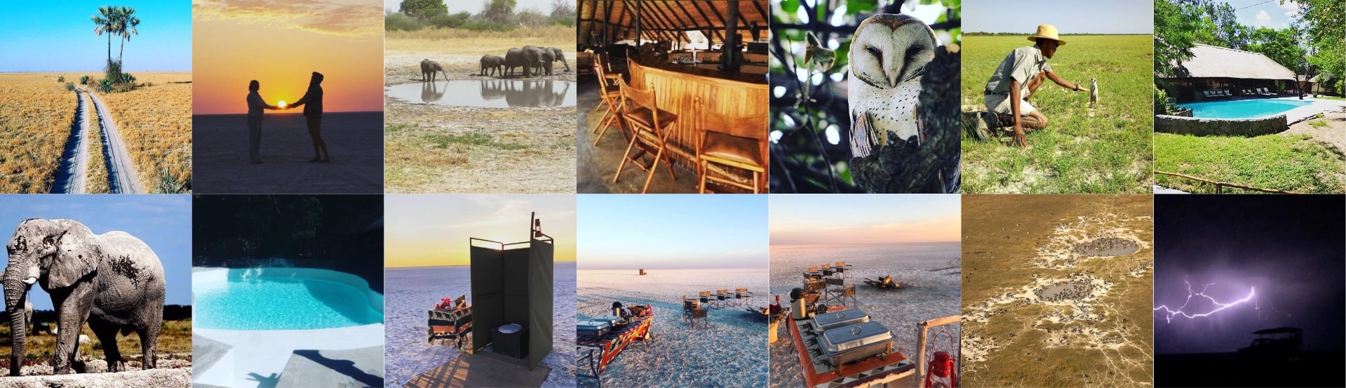 Gweta Lodge day trips
